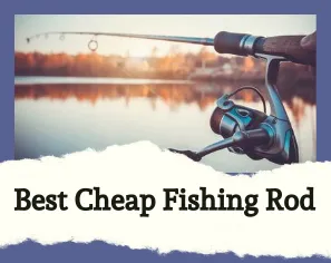 best cheap fishing rod